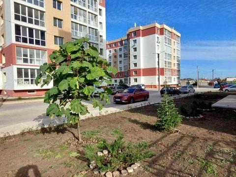 квартира за адресою Будівельна вул., 48-А
