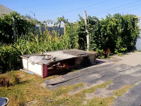 дом по адресу Большая Диёвская ул. (Братьев Трофимовых), 549