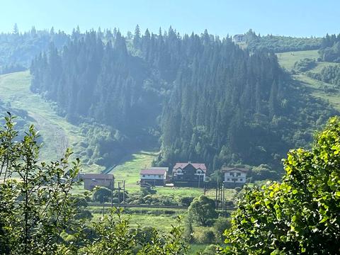ділянка за адресою Олени Степанівні, 95