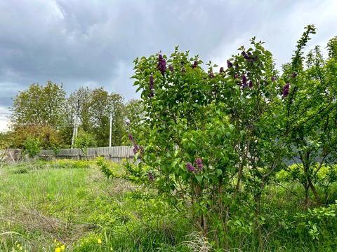 ділянка за адресою Буча, Чорних Запорожців вул.