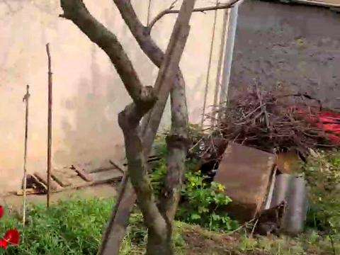 дом по адресу Одесса, 21-й км Старокиївської дороги ул.