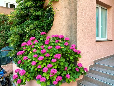 квартира по адресу Шампанский пер., 9