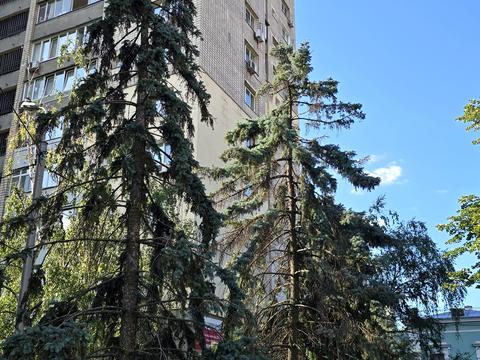квартира по адресу Михаила Омеляновича-Павленко ул. (Суворова), 11