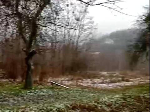 ділянка за адресою Обухів, Гайдамацька, 11