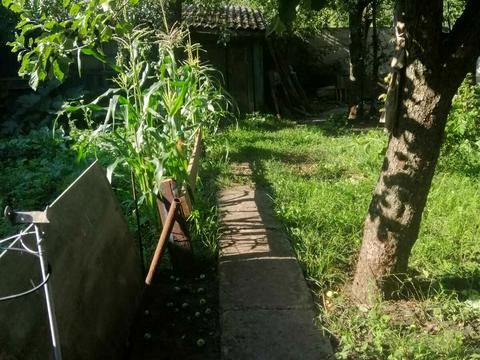 будинок за адресою Корсиковський переулок, 29