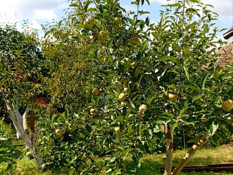 будинок за адресою Центральна вул. (Пролетарська), 79/80