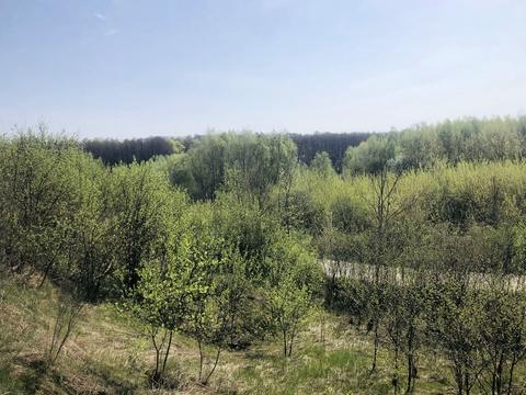 участок по адресу Джерельна