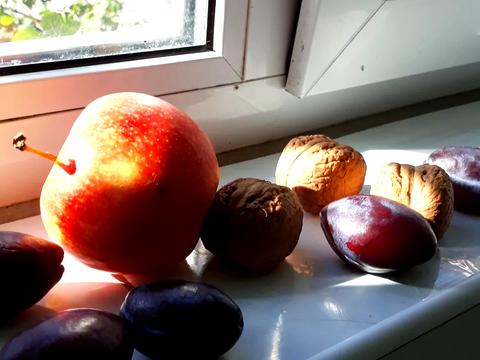 квартира по адресу Александра Архипенко ул. (Мате Залки), 3-А