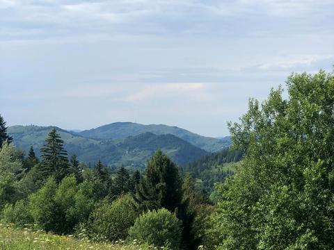 участок по адресу с. Буковец, 