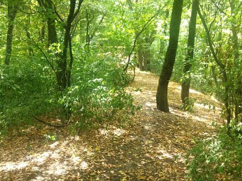 ділянка за адресою Краматорський пров., 6