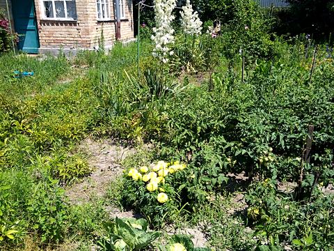 ділянка за адресою Газопровідна вул.