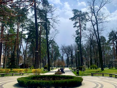 коммерческая по адресу Матвія Донцова ул. (Тургеневская), 24
