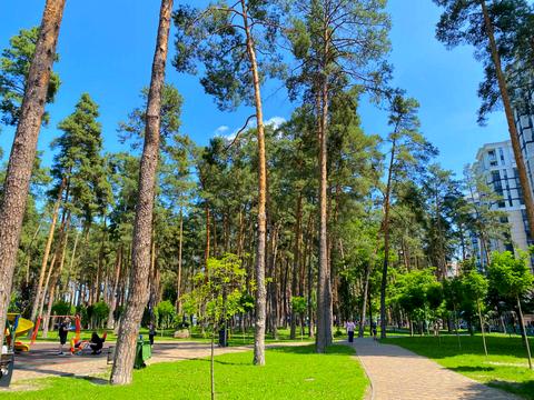 будинок за адресою Олени Теліги вул. (Лермонтова)