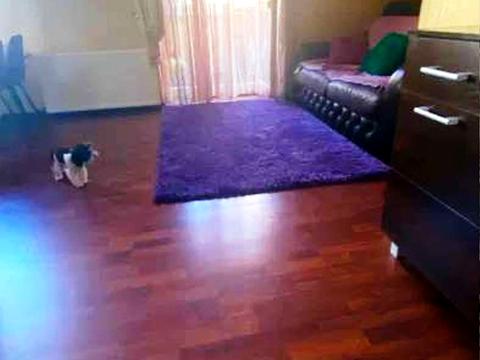 квартира по адресу Олеся Гончара ул., 55