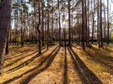 будинок за адресою Шевченка вул.