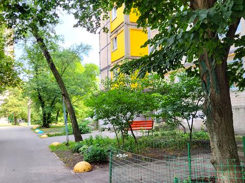 квартира за адресою Василя Іваниса вул. (Миколи Матеюка), 5