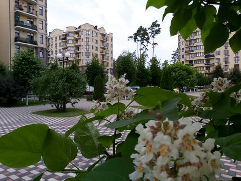 квартира по адресу Мрії ул. (Пушкінська), 3-Б