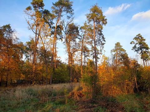 ділянка за адресою Мрії вул.