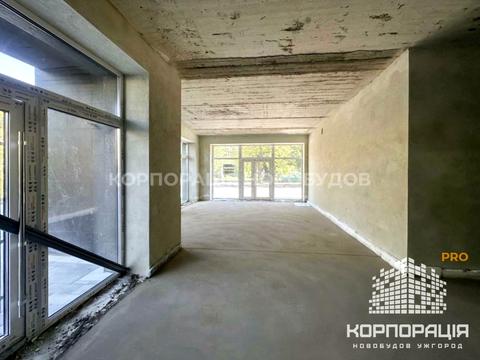 коммерческая по адресу Капушанская ул., 170