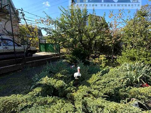дом по адресу підпорожнянка