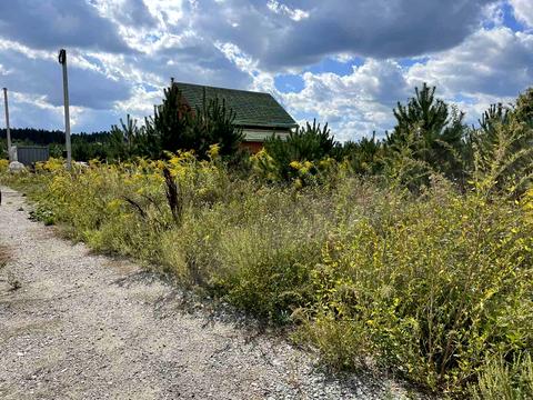 ділянка за адресою Виноградна, 7