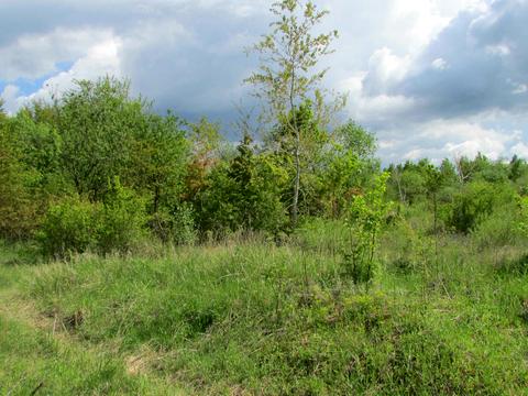 участок по адресу Січових Стрільців