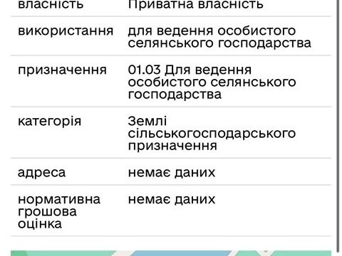 ділянка за адресою с. Бірки, 