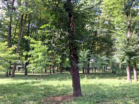 квартира по адресу Миколи Шепелєва ул., 9-А