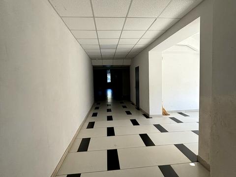 квартира по адресу Николая Боровского ул., 37