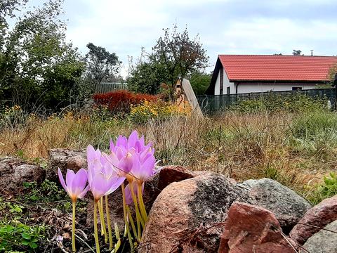 будинок за адресою Східна