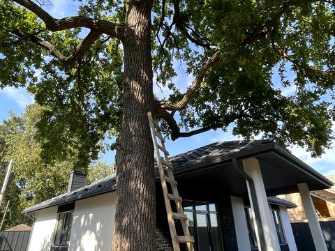 дом по адресу Тургенева ул.