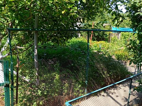 дом по адресу 2 черноморской переулок