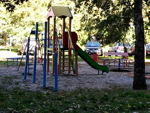 квартира по адресу Лесной просп., 25-А