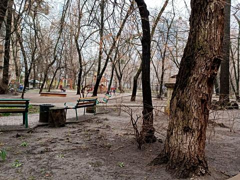 квартира за адресою Берестейський просп. (Перемоги), 80/57