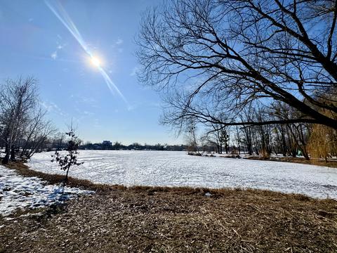 участок по адресу Городня