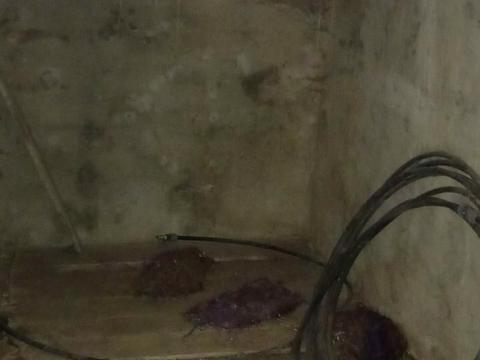 дом по адресу Тетиев, дібрівська, 19