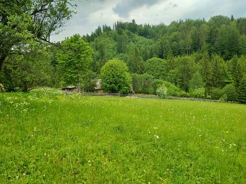 участок по адресу с. Кривополье, коротеньке