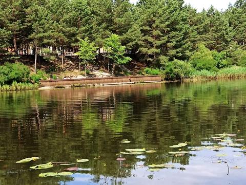 ділянка за адресою с. Хотянівка, 