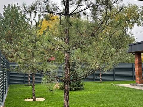 будинок за адресою Академічна вул.