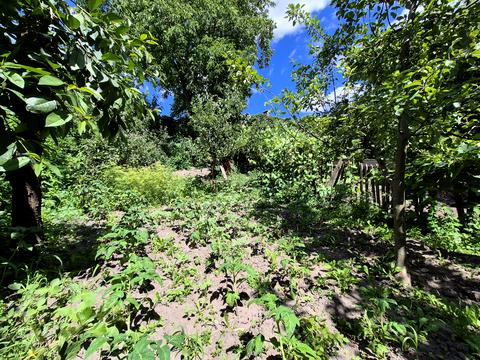 будинок за адресою Лисенка пров., 5