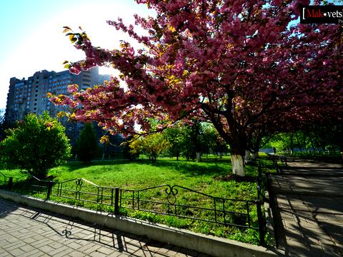 квартира по адресу Василия Касияна ул., 2/1