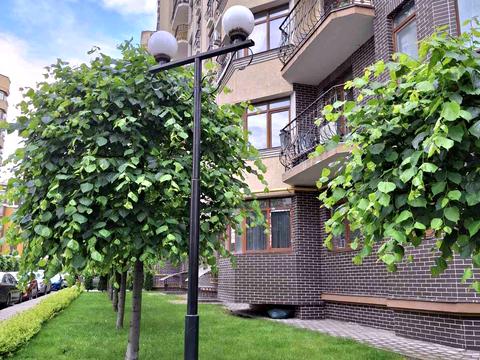 квартира за адресою Західна вул., 12