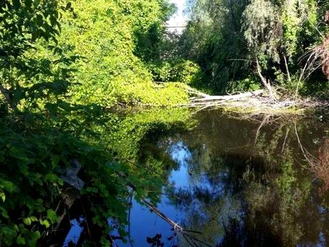 ділянка за адресою 