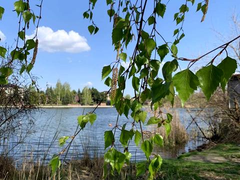 участок по адресу пгт. Козин, 