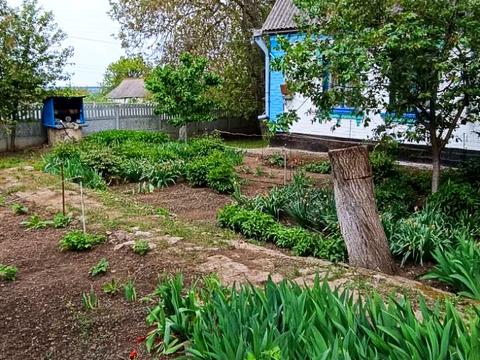 будинок за адресою смт. Гребінки, Київська вул.