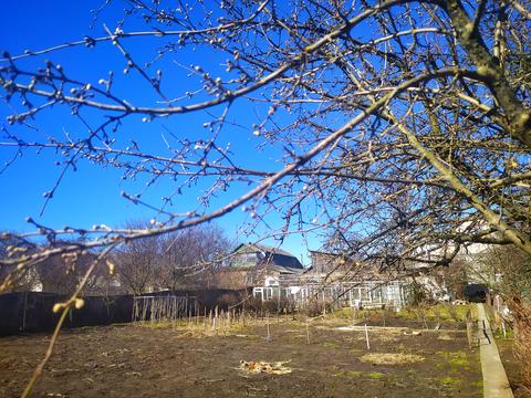 дом по адресу південа, 21