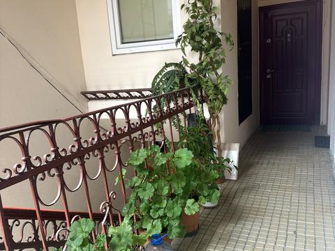 квартира за адресою Корзо вул., 2