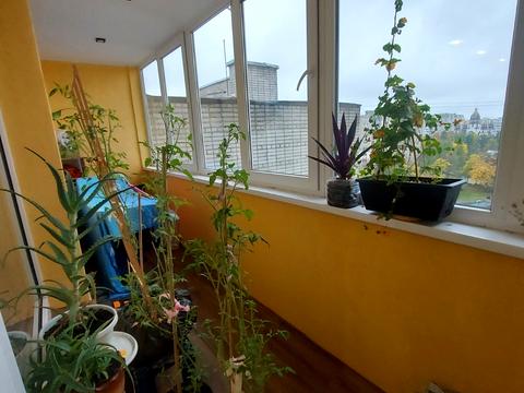 квартира за адресою Коломийська вул., 9