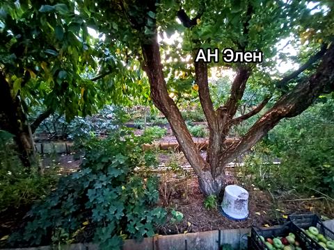 дом по адресу Строителей