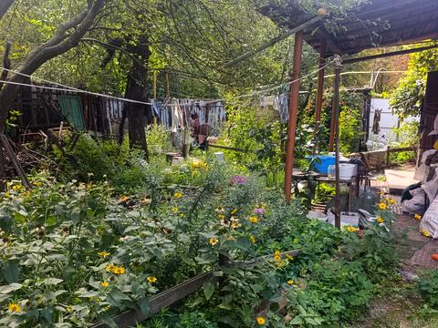 дом по адресу Дудинской ул. (Нариманова), 7
